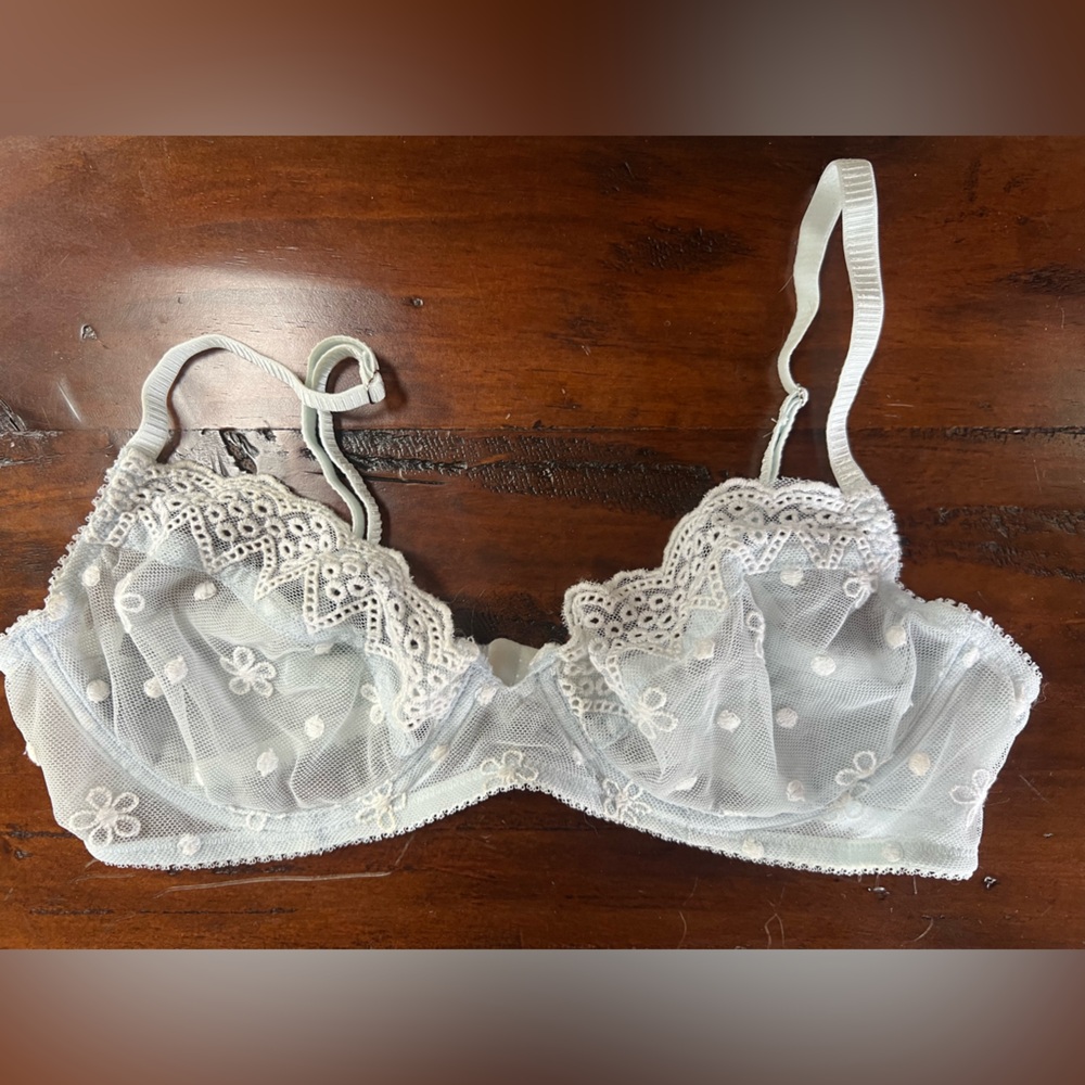 Urban Outfitters- Out From Under Sheer Bra, Light Blue